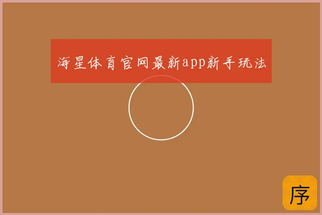 海星体育官网最新app新手玩法